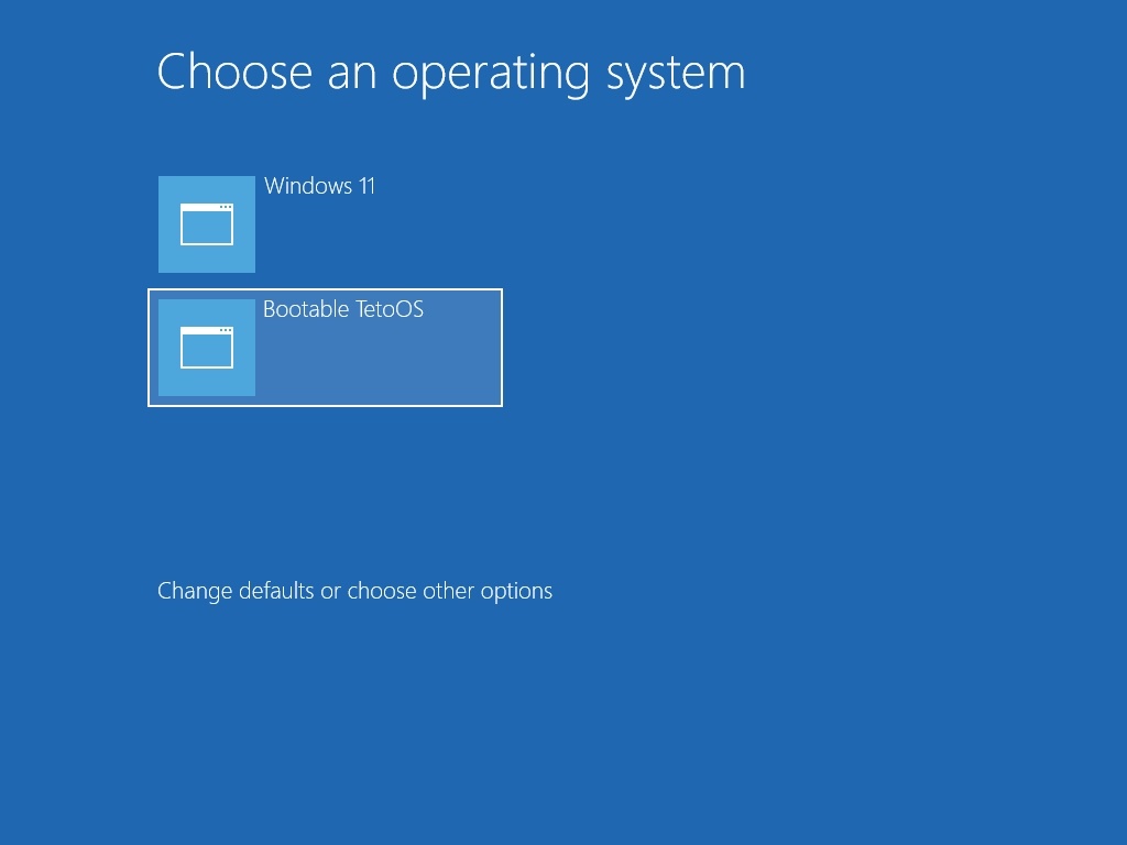 Modern Blue Boot Manager Screen